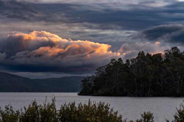 Heading North Prints-December 10, 2022-Gold at Dusk Gold at Dusk